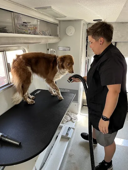 Groombusters Mobile Grooming — photo from their website