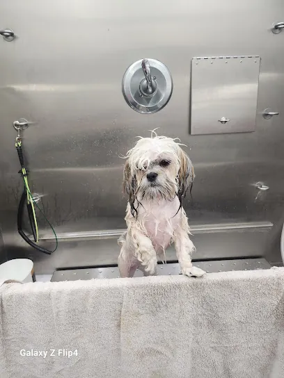 Mobile Pet Grooming- Salem — photo from their website