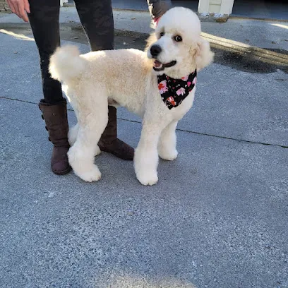 The Mobile Paw Spa — photo from their website