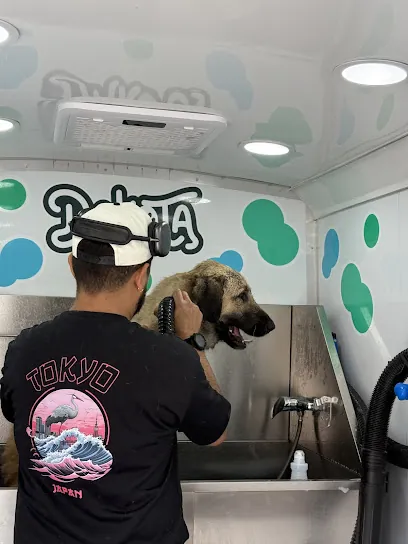 Dakota | Mobile Pet Grooming — business logo from Google