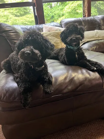 Ultimate Mobile Pet Grooming — photo from their website