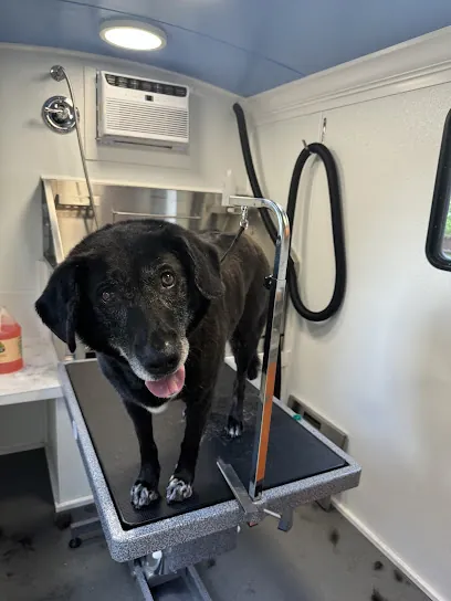 Swaggin' Waggin' Mobile Dog Salon — photo from their website