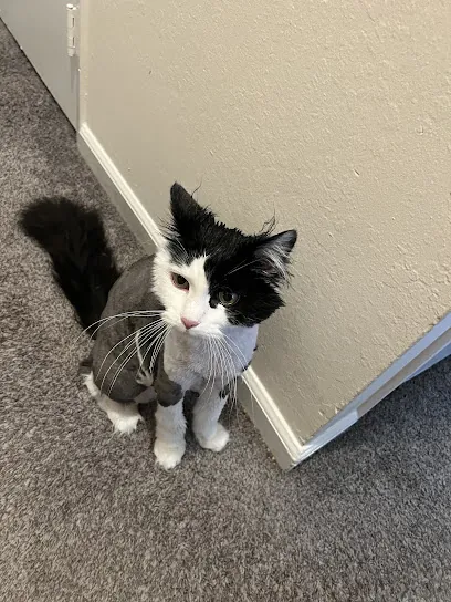 Pride Mobile Pet Grooming — photo from their website