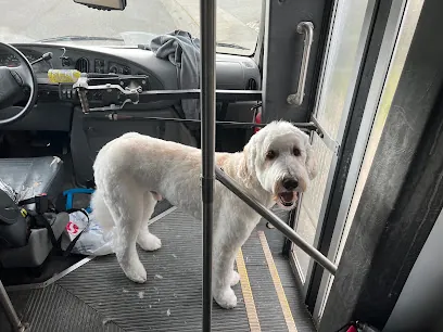 Best Mobile Grooming — photo from their website