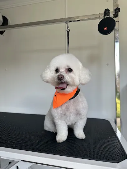 K9 Cuts & Suds Mobile Grooming — photo from their website