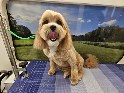 Green Dog Mobile Grooming — photo from their website