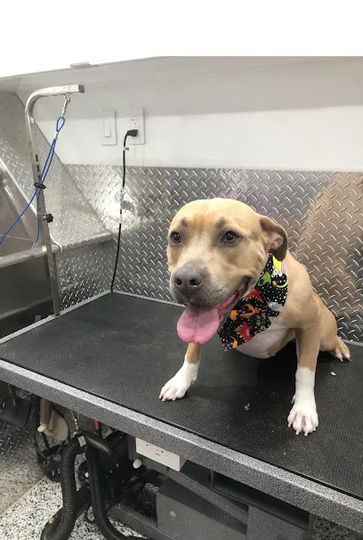 Mobile Dog Grooming West Palm Beach — photo from their website