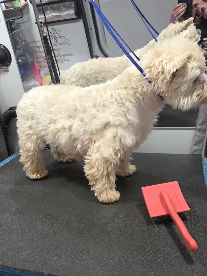 Launder Pups Mobile — photo from their website