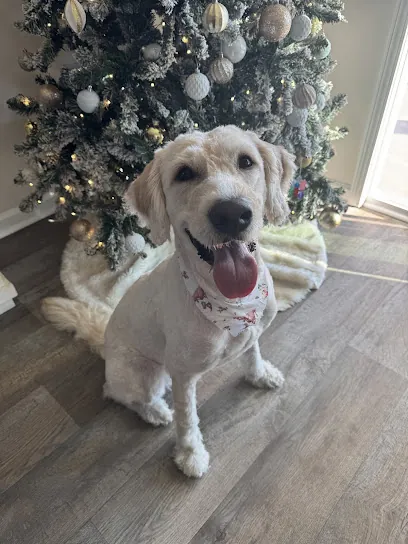 The Mobile Pawdicure — photo from their website