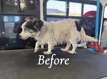 Lupita’s Mobile Pet Grooming Services — photo from their website