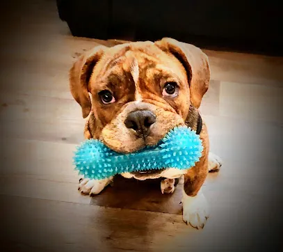 Furtastic Mobile Grooming — photo from their website
