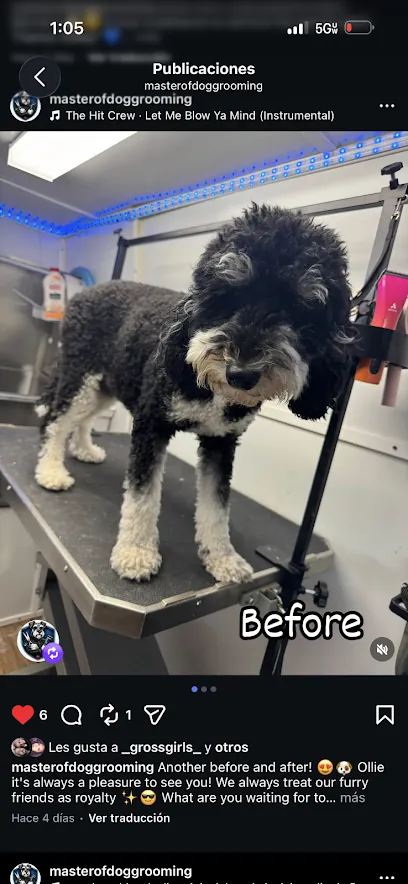 Mobile pet grooming en Bakersfield Master of Dog Grooming — business logo from Google