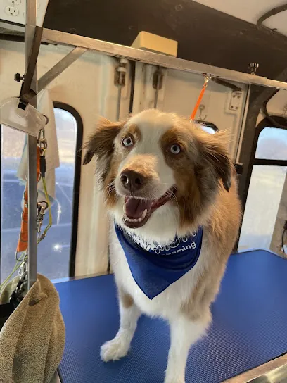 Kiss My Mutt Mobile Pet Grooming — photo from their website