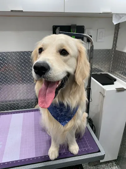 Mobile Pet Grooming Bal Harbour — photo from their website