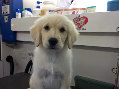 L.A. Puppy Love Mobile Grooming — business logo from Google
