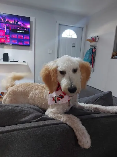 Mobile Pet Grooming Pro — photo from their website