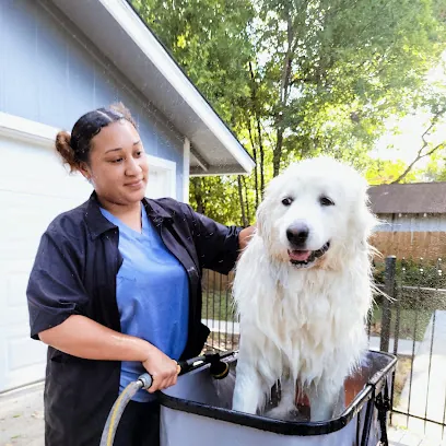 Hallz Pet Groomz Mobile Grooming — photo from their website