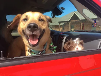 Fuzzy Tails Mobile Grooming Inc. — photo from their website
