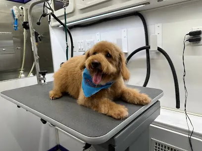 Bubbles Pet Spa Salon - Mobile — photo from their website