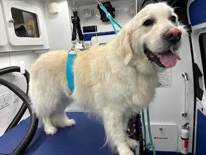 Porchlight Mobile Dog Grooming — photo from their website