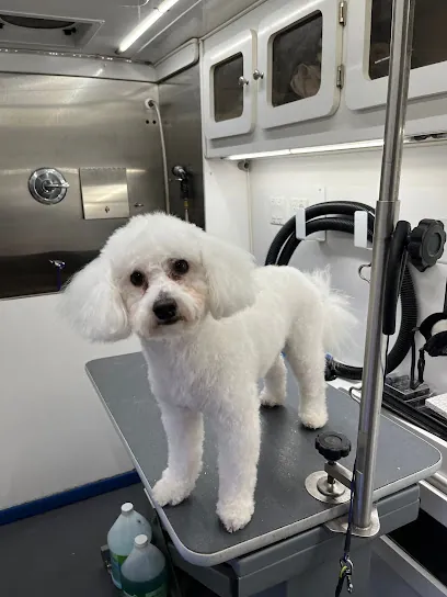 Furever In Style Mobile Dog Grooming — photo from their website
