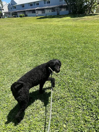 Dogfather's Mobile Grooming — photo from their website
