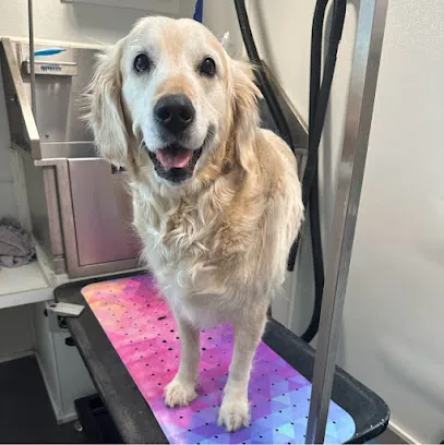 Pup Culture Mobile Grooming — photo from their website