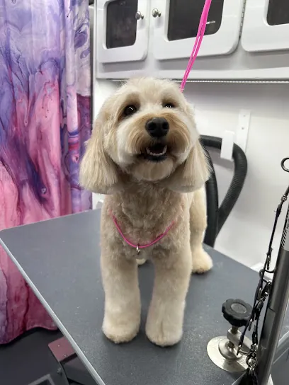 Hot Under the Collar Mobile Pet Styling — photo from their website