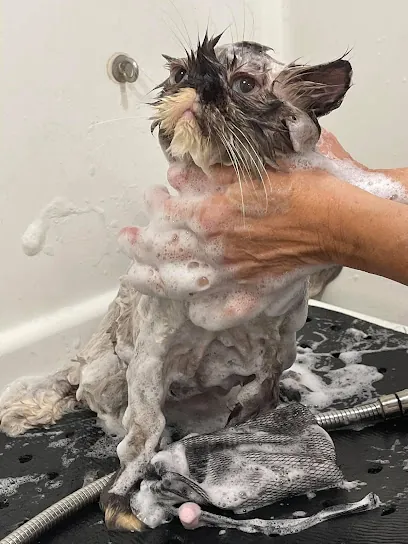 Sitting Pretty Mobile Grooming — photo from their website