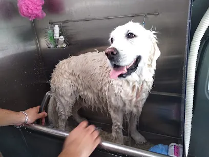 christian's mobile pet grooming — photo from their website