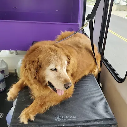 Mobile Pet Parlour — photo from their website