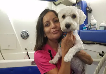 Mobile Dog Grooming LA — photo from their website