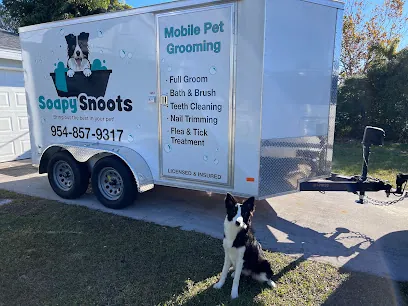 Soapy Snoots Mobile Pet Grooming — photo from their website