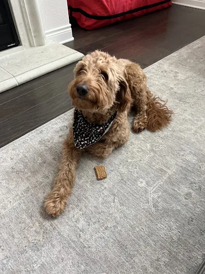 Zander Deux's Mobile Grooming LLC — photo from their website
