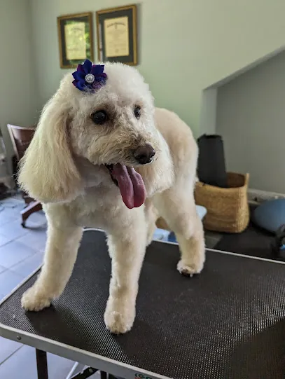 Furry Godmother Mobile Grooming and Pet Services LLC — photo from their website