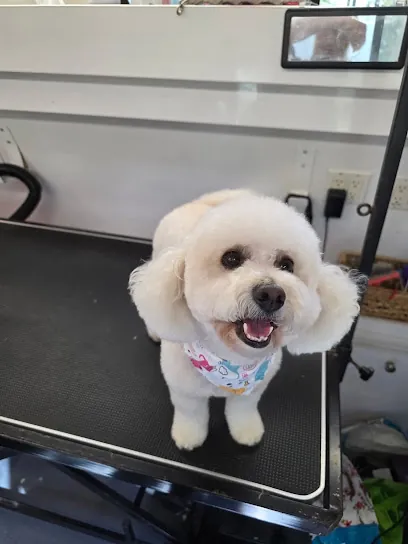 Bark West Mobile Dog Spa — photo from their website
