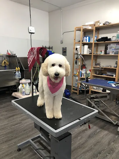 Ernesto’s Mobile Pet Grooming — photo from their website
