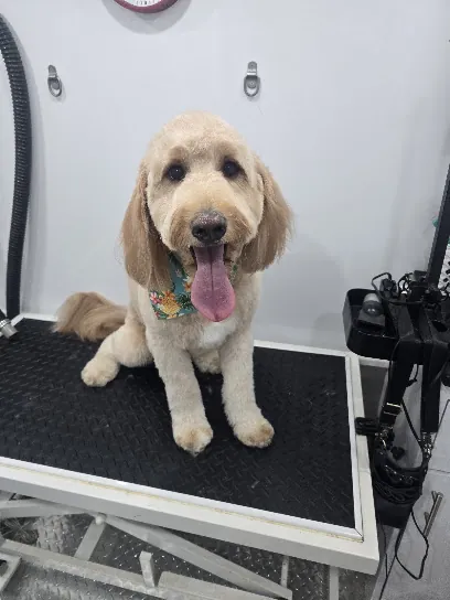 Easy peasy mobile pet grooming — photo from their website