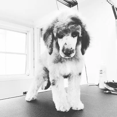 Right way Mobile Pet Grooming — photo from their website