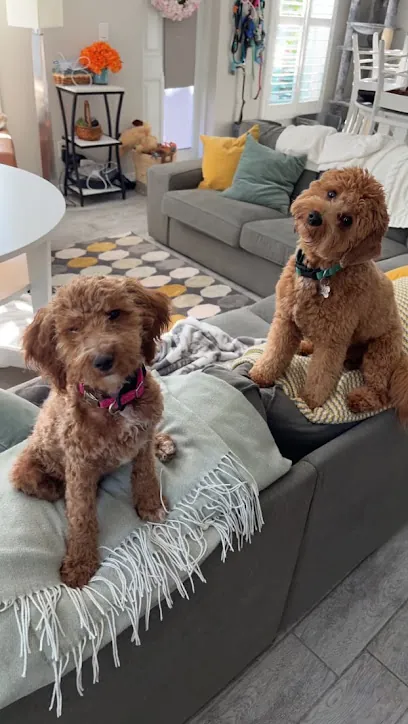 Pedi-Green's All-Natural Mobile Pet Spa — photo from their website