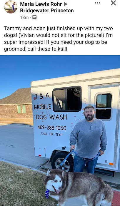 T A MOBILE DOG WASH LLC — business logo from Google