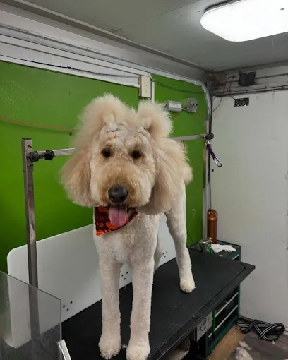 Coat of Many Colors Mobile Dog Grooming — photo from their website