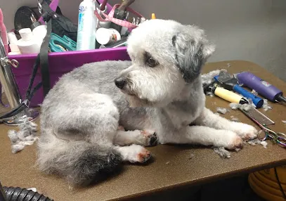 Emerald City Mobile Pet Grooming — photo from their website