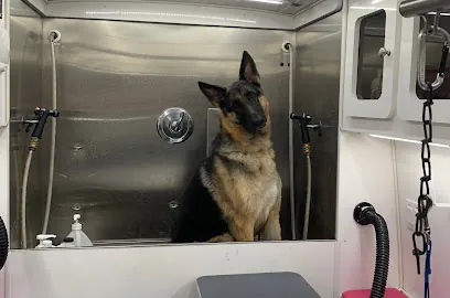 Sit N' Pretty Mobile Pet grooming — photo from their website