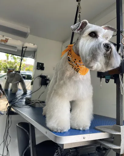 Patas de Lujo - Mobile Dog Grooming, Pet Sitting — photo from their website