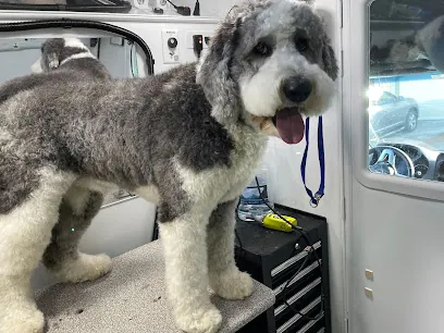 Groombuggy Mobile Dog Grooming — photo from their website