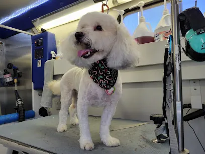 Curbside Clips Mobile Grooming — photo from their website