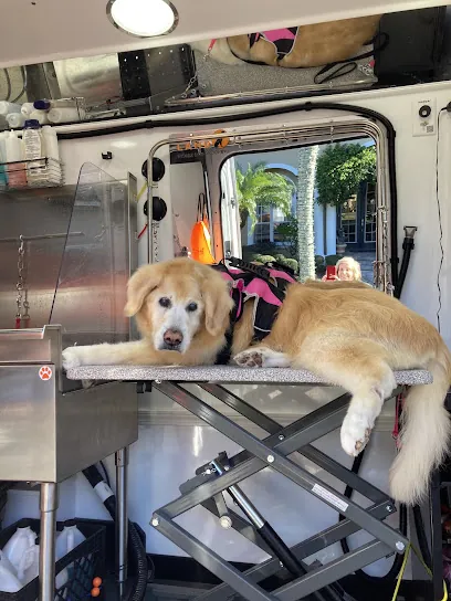 Furry Land Mobile Grooming Orlando — photo from their website