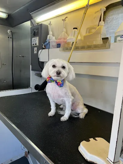 Kat's Barking Boutique - Mobile Pet Grooming Tampa — photo from their website