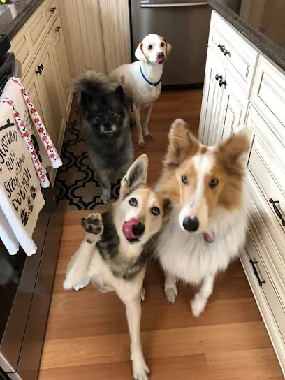 C'Lassie Cuts Mobile Pet Spa — photo from their website